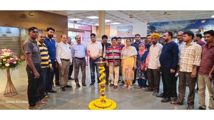 Untitled-design-2024-11-14T154018.999