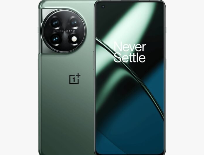 WhatsApp-Image-2024-11-04-at-17.52.37