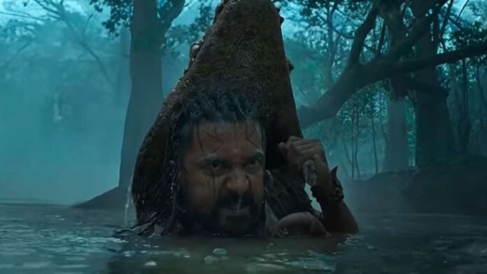 WhatsApp-Image-2024-11-13-at-23.12.09